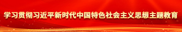 男人插女人视频网站播放学习贯彻习近平新时代中国特色社会主义思想主题教育